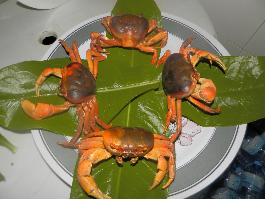 라스두 코럴빌 Rasdhoo 외부 사진